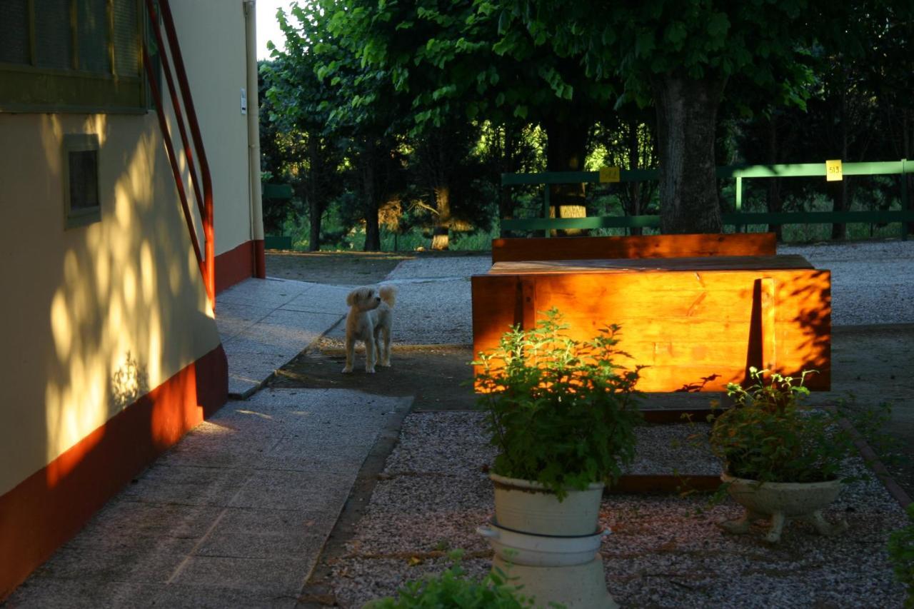 Apartment Lilli 2 *